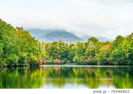 10月初旬の鎌池(信州小谷村) 10月初旬の鎌池(信州小谷村) 76486602