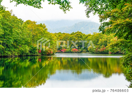 10月初旬の鎌池(信州小谷村) 10月初旬の鎌池(信州小谷村) 76486603