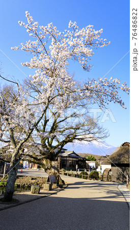 日本の原風景の山梨県忍野村の春 76486822