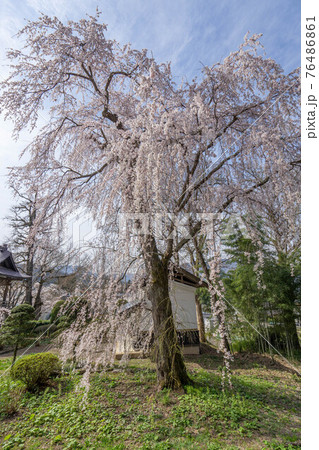 長妙寺 76486861
