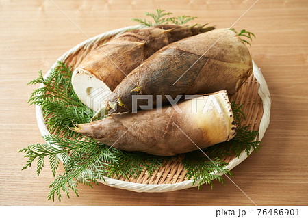ザルに乗せた筍 ザルに乗せた筍 76486901