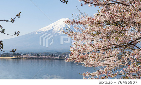 春の河口湖 76486907