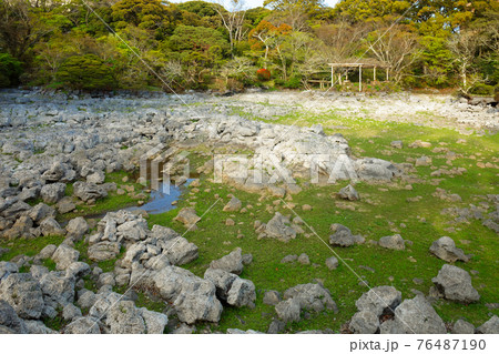 楽寿園 楽寿館と小浜池 楽寿園 楽寿館と小浜池 76487190