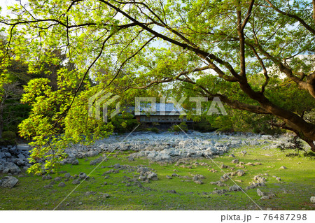 楽寿園　楽寿館と小浜池　もみじの若葉 76487298