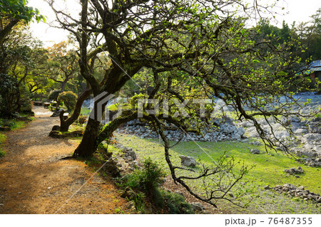 楽寿園　楽寿館と梅林 76487355