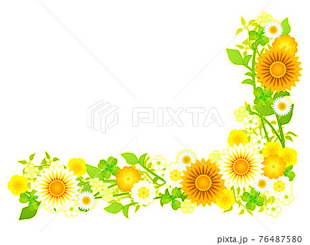 ガザニアと黄色花のイラストフレームのイラスト素材