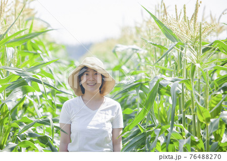 とうもろこし畑 農家の女性 とうもろこし畑 農家の女性 76488270