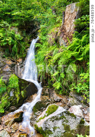 Fahler waterfall in the Black Forest, Germany Fahler waterfall in the Black Forest, Germany 76488599