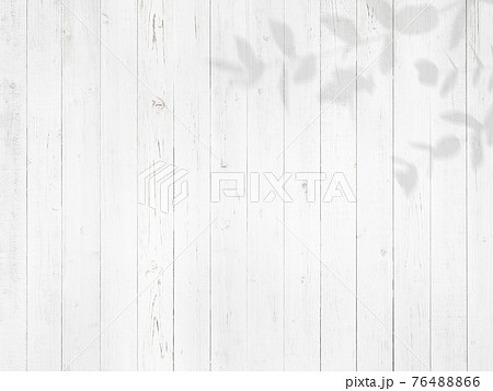 白い木製の壁と枝の影 複数のバリエーションがありますのイラスト素材