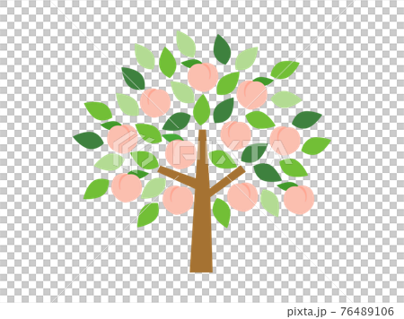 桃の木 桃の木 76489106