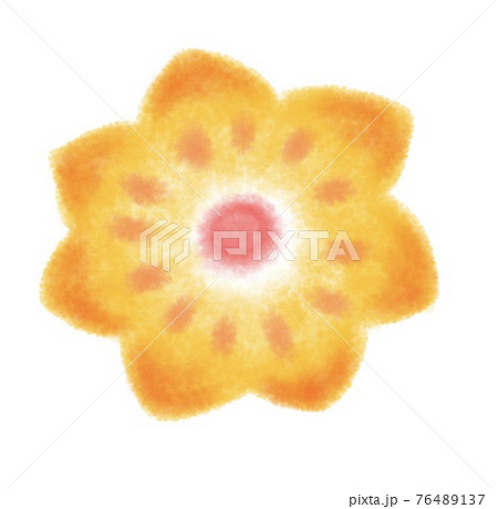 花 かわいい 手描きイラスト のイラスト素材