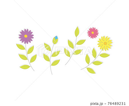北欧風の草花 ベクターイラスト のイラスト素材