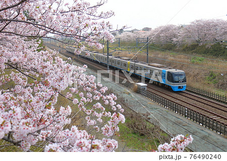 千葉県白井市付近北総線を通る住宅・都市整備公団9100形電車シーフライヤーと満開のさくら materials digitalstage