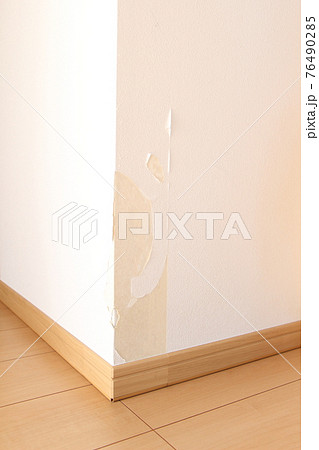 壁紙を破くイタズラ 76490285