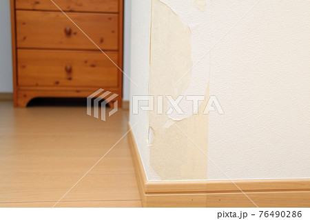 壁紙を破くイタズラ 76490286