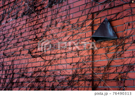 茨の壁面 76490313