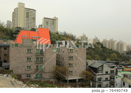 植物 風景 住宅 76490749