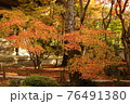 京都南禅寺の紅葉 76491380