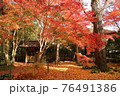 京都蓮華寺の紅葉 76491386