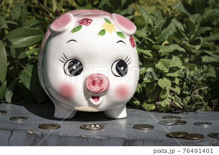 豚の貯金箱と細かいお金 豚の貯金箱と細かいお金 76491401