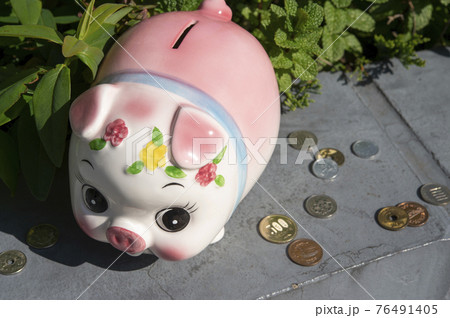 豚の貯金箱と細かいお金 豚の貯金箱と細かいお金 76491405