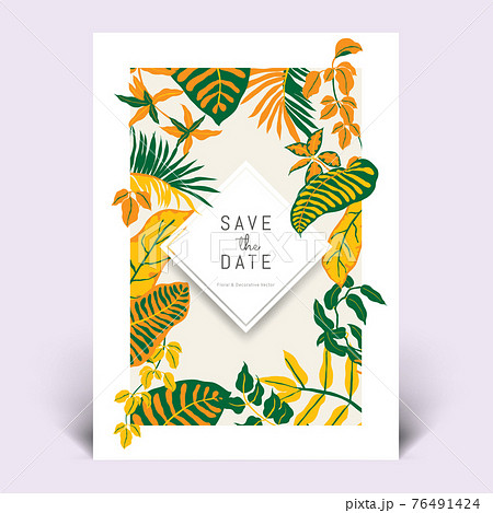 Colorful botanical invitation card template design, hand drawn tropical plants Colorful botanical invitation card template design, hand drawn tropical plants 76491424