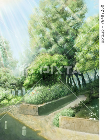 緑の樹木のある爽やかな公園背景素材 木漏れ日と落ち影ありのイラスト素材