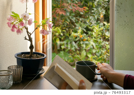 お花見しながら読書して過ごすおうち時間 76493317