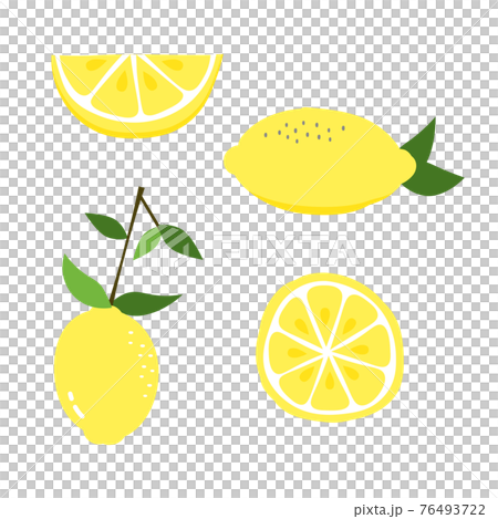フレッシュなレモンのカットイラストのイラスト素材