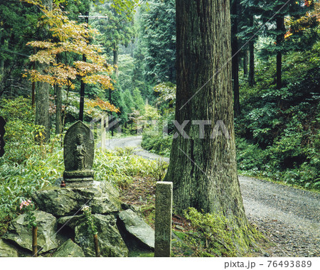滋賀県 大津市 延暦寺根本中堂近郊の森の中に石仏と道 滋賀県 大津市 延暦寺根本中堂近郊の森の中に石仏と道 76493889