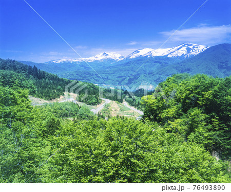 山形県 西川町 仁田山から月山湖と月山 山形県 西川町 仁田山から月山湖と月山 76493890