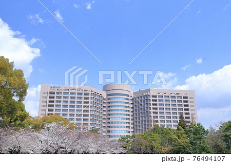 病院と公園のさくら(名古屋大学医学部附属病院、鶴舞公園 愛知県 名古屋市) 病院と公園のさくら(名古屋大学医学部附属病院、鶴舞公園 愛知県 名古屋市) 76494107