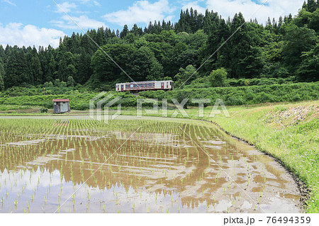新潟県小千谷市・JR飯山線　単行列車と田植え直後の田んぼ 76494359