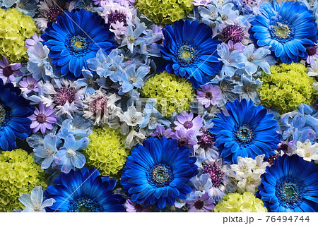 青いガーベラとデルフィニウム 緑の紫陽花 青 緑 白 紫の花のフラワーアレンジメントの写真素材