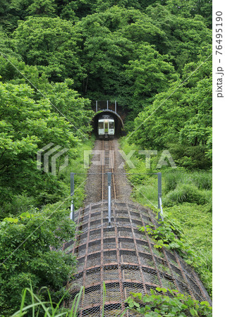 新潟県小千谷市・JR飯山線　緑のトンネルから顔を出した列車 76495190