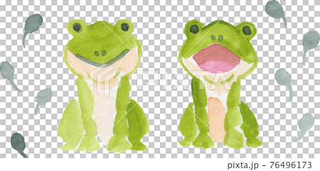 Watercolor frog and tadpole 76496173