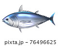 カツオ 76496625