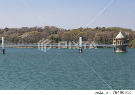 春の狭山湖 3月 春の狭山湖 3月 76496910