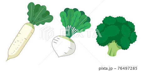 大根とかぶとブロッコリーの野菜イラスト素材のイラスト素材