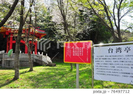 大和市ふれあいの森　台湾亭と満開桜と案内板 76497712