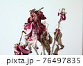 ドライフラワー 76497835