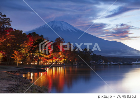 富士山とライトアップされた紅葉 山梨県南都留郡山中湖にて 富士山とライトアップされた紅葉 山梨県南都留郡山中湖にて 76498252