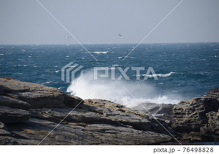 冬の海苔石海岸 76498828
