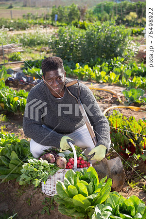proffesional farmer with garden basket 76498922
