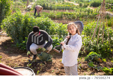 Portrait of a teenage girl with a shovel in the vegetable garden 76500274