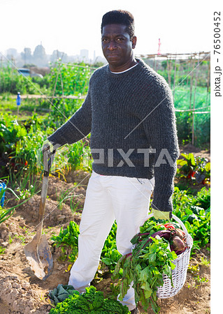 proffesional farmer with garden basket proffesional farmer with garden basket 76500452