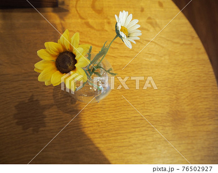 黄色と白の花の光と影 黄色と白の花の光と影 76502927