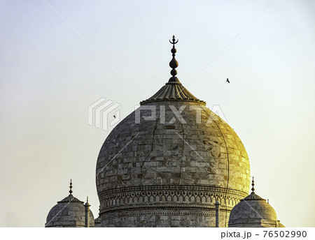 Picture of Crown of the Palaces - Taj Mahal with flying ravens in Agra, Uttar Pradesh, India Picture of Crown of the Palaces - Taj Mahal with flying ravens in Agra, Uttar Pradesh, India 76502990