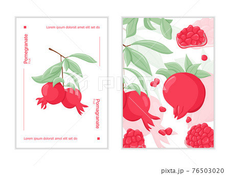 Pomegranate fruits on branch with leaves and grains vector hand drawn card template. Fresh pomegranates. Pomegranate fruits on branch with leaves and grains vector hand drawn card template. Fresh pomegranates. 76503020