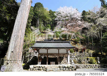 万葉の気配を感じる『桜木神社』 万葉の気配を感じる『桜木神社』 76503324